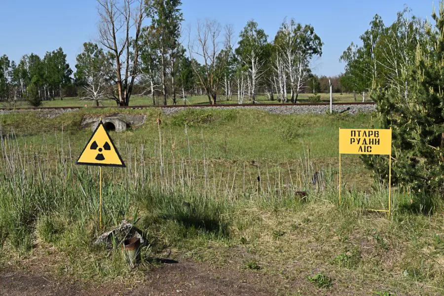 Danger Signs in the Red Forest