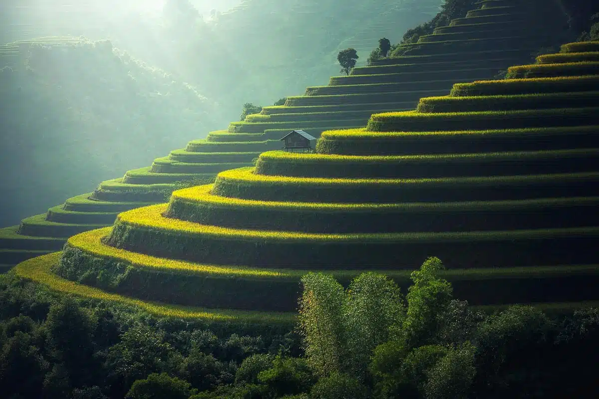 Thailand Borders