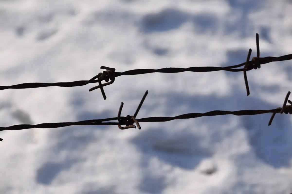 Barbed Wire at Unit 731